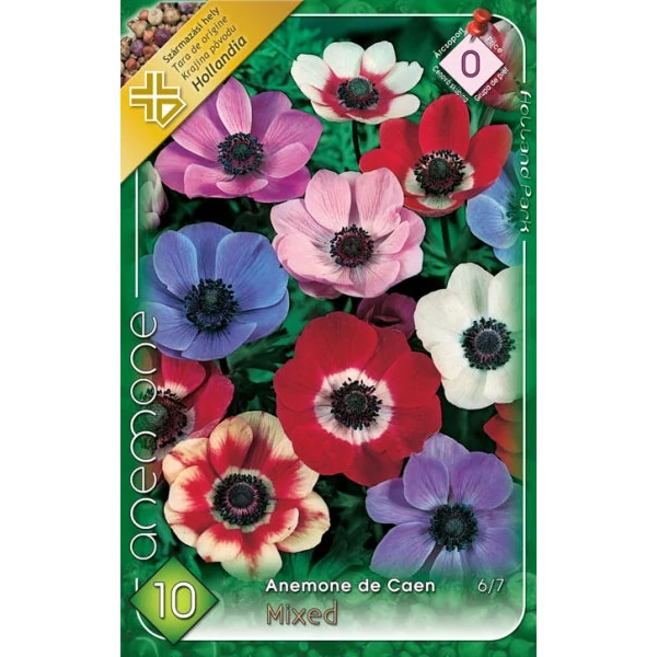 Anemone de Caen' - Koronás szellőrózsa, színkeverék